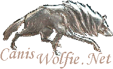 Silver Wolf Image copied and modified from goldenicons.com